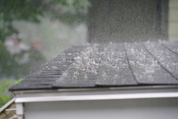 Best Skylight Installation and Repair  in Elgin, OR